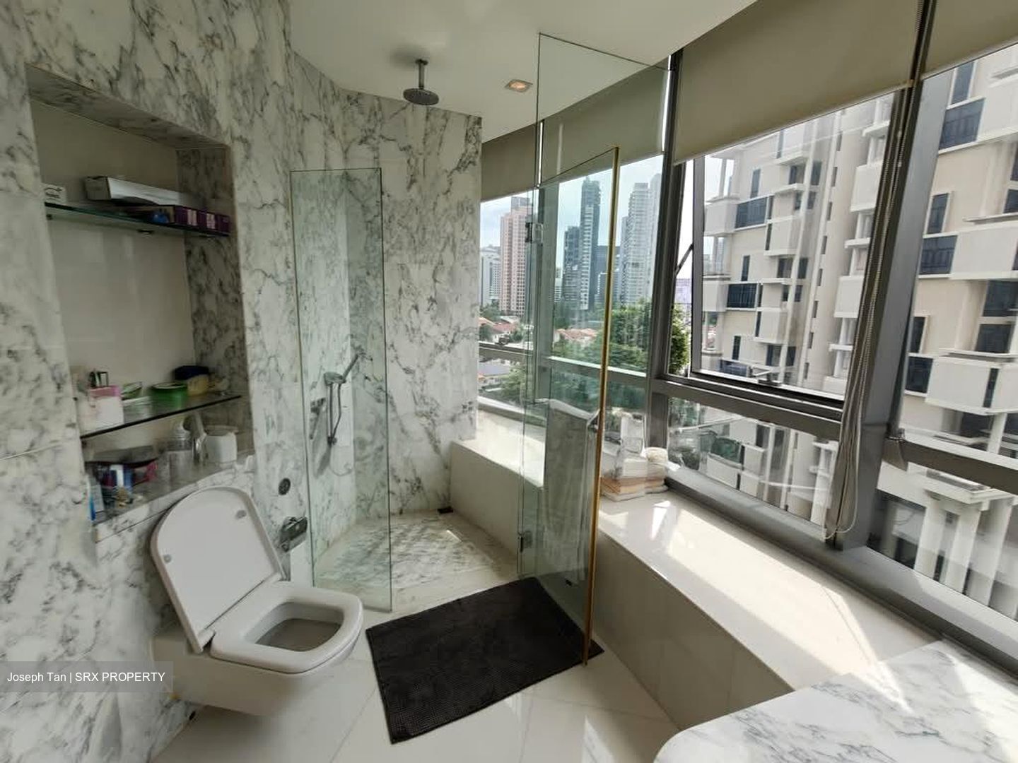 Cliveden At Grange (D10), Condominium #559730331